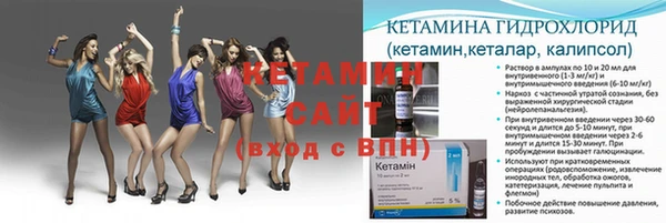 гашик Нефтекумск