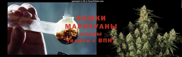 крисы Нея