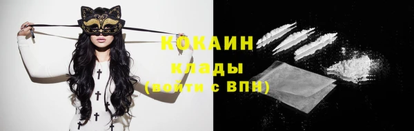 гашик Нефтекумск