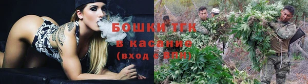 гашик Нефтекумск