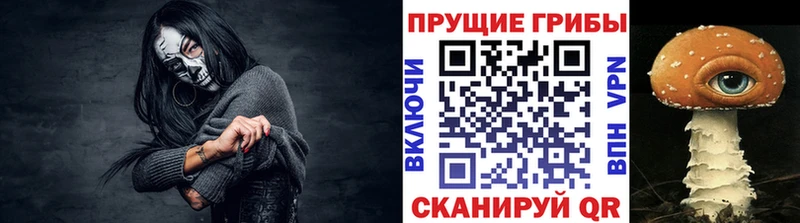 blacksprut ONION  магазин продажи наркотиков  Нижняя Тура  Галлюциногенные грибы Psilocybe 